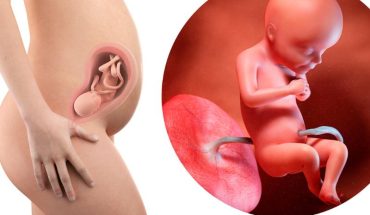 Cân nặng của thai nhi theo tuần thay đổi như thế nào?